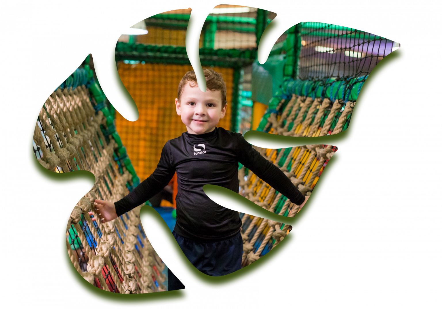 Home Jungleland Telford